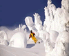 Resort News